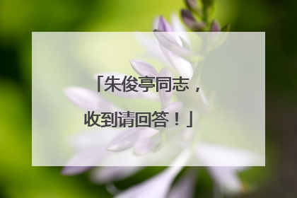 朱俊亭同志，收到请回答！