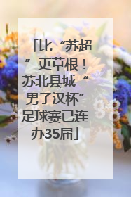 比“苏超”更草根！苏北县城“男子汉杯”足球赛已连办35届