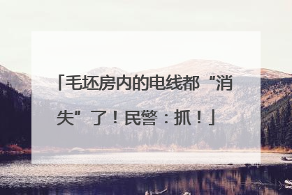 毛坯房内的电线都“消失”了！民警：抓！