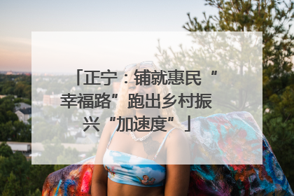 正宁：铺就惠民“幸福路”跑出乡村振兴“加速度”