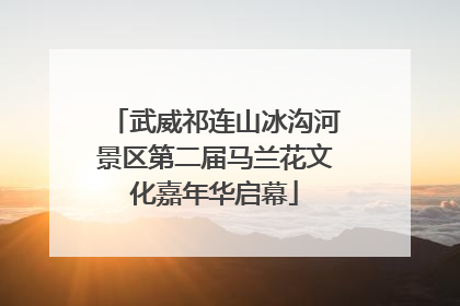 武威祁连山冰沟河景区第二届马兰花文化嘉年华启幕