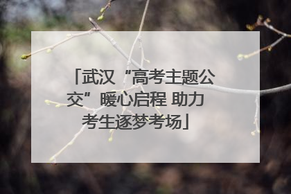 武汉“高考主题公交”暖心启程 助力考生逐梦考场