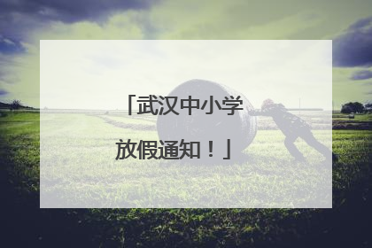 武汉中小学放假通知！
