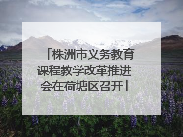株洲市义务教育课程教学改革推进会在荷塘区召开