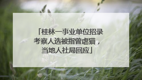 桂林一事业单位招录考察人选被指曾虐猫，当地人社局回应