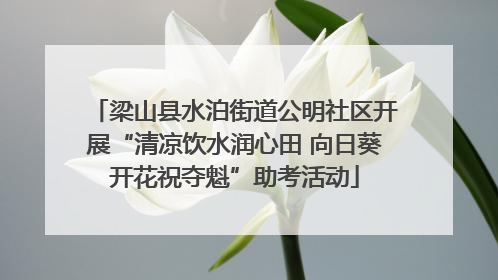 梁山县水泊街道公明社区开展“清凉饮水润心田 向日葵开花祝夺魁”助考活动