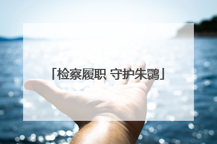 检察履职 守护朱鹮