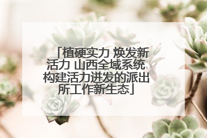 植硬实力 焕发新活力 山西全域系统构建活力迸发的派出所工作新生态