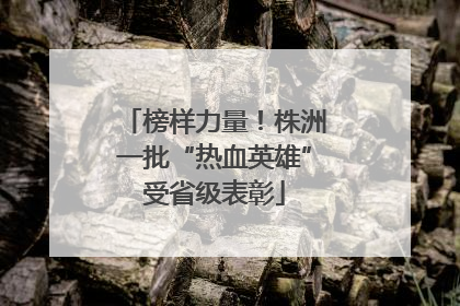 榜样力量！株洲一批“热血英雄”受省级表彰