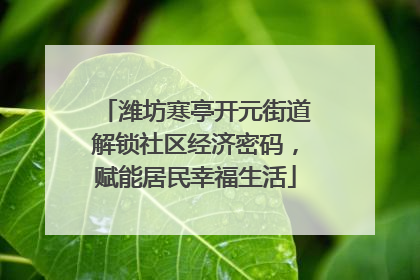 潍坊寒亭开元街道解锁社区经济密码，赋能居民幸福生活