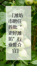 潍坊市聘任首批“更好潍坊”行业推介官