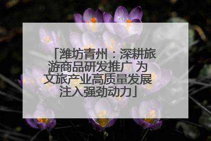 潍坊青州：深耕旅游商品研发推广 为文旅产业高质量发展注入强劲动力