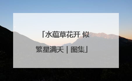 水蕴草花开 似繁星满天｜图集