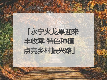 永宁火龙果迎来丰收季 特色种植点亮乡村振兴路