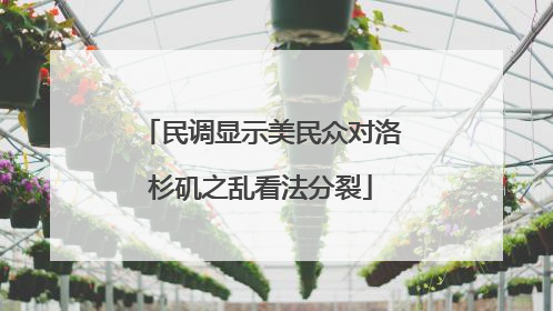 民调显示美民众对洛杉矶之乱看法分裂