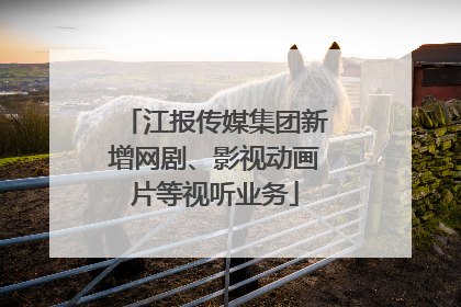 江报传媒集团新增网剧、影视动画片等视听业务