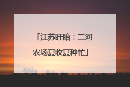 江苏盱眙：三河农场夏收夏种忙