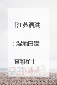 江苏泗洪：湿地白鹭育雏忙