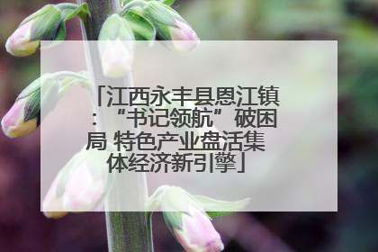 江西永丰县恩江镇：“书记领航”破困局 特色产业盘活集体经济新引擎