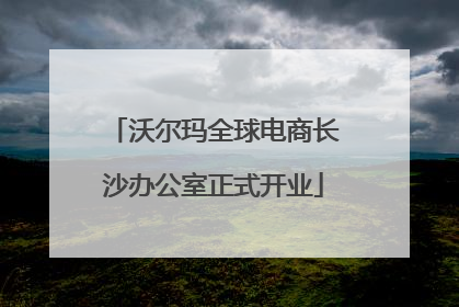 沃尔玛全球电商长沙办公室正式开业
