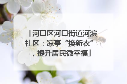 河口区河口街道河滨社区：凉亭“换新衣”，提升居民微幸福