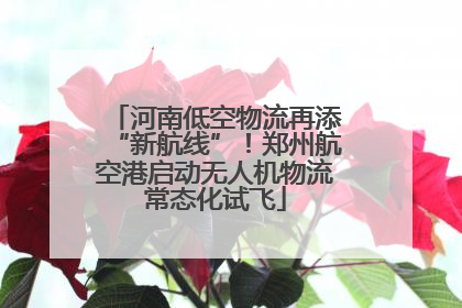 河南低空物流再添“新航线”！郑州航空港启动无人机物流常态化试飞