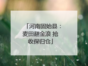 河南固始县：麦田翻金浪 抢收保归仓