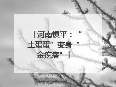 河南镇平：“土蛋蛋”变身“金疙瘩”