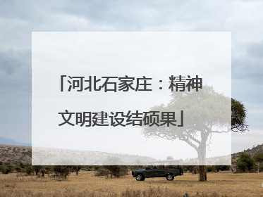 河北石家庄：精神文明建设结硕果