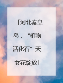 河北秦皇岛：“植物活化石”天女花绽放