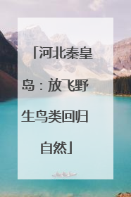 河北秦皇岛：放飞野生鸟类回归自然