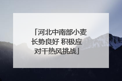河北中南部小麦长势良好 积极应对干热风挑战