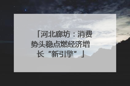 河北廊坊：消费势头稳点燃经济增长“新引擎”