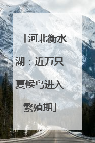 河北衡水湖：近万只夏候鸟进入繁殖期