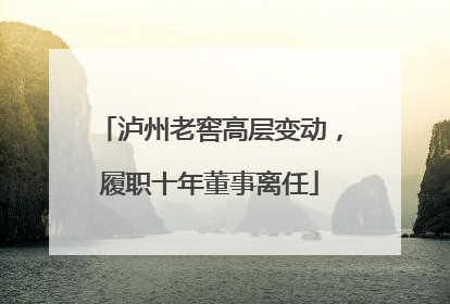泸州老窖高层变动，履职十年董事离任
