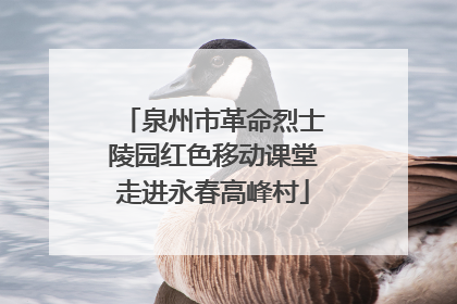 泉州市革命烈士陵园红色移动课堂走进永春高峰村