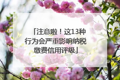 注意啦！这13种行为会严重影响纳税缴费信用评级
