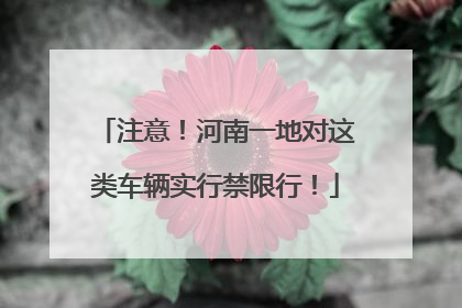 注意！河南一地对这类车辆实行禁限行！