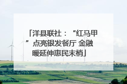 洋县联社：“红马甲”点亮银发餐厅 金融暖延伸惠民末梢