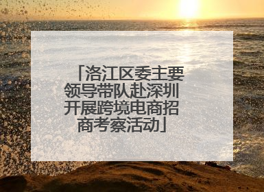 洛江区委主要领导带队赴深圳开展跨境电商招商考察活动