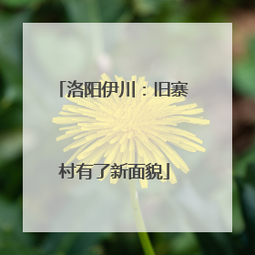 洛阳伊川：旧寨村有了新面貌
