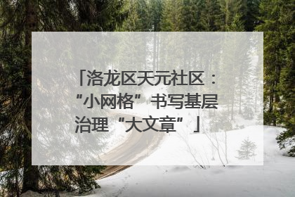 洛龙区天元社区：“小网格”书写基层治理“大文章”