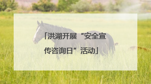 洪湖开展“安全宣传咨询日”活动