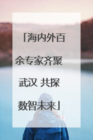海内外百余专家齐聚武汉 共探数智未来