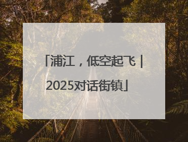 浦江，低空起飞｜2025对话街镇