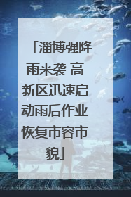 淄博强降雨来袭 高新区迅速启动雨后作业恢复市容市貌