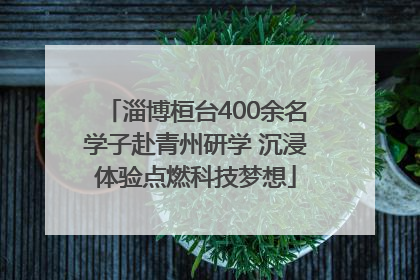 淄博桓台400余名学子赴青州研学 沉浸体验点燃科技梦想