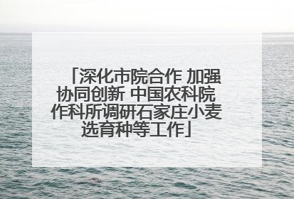 深化市院合作 加强协同创新 中国农科院作科所调研石家庄小麦选育种等工作