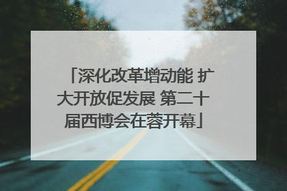 深化改革增动能 扩大开放促发展 第二十届西博会在蓉开幕