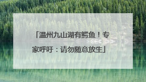 温州九山湖有鳄鱼！专家呼吁：请勿随意放生